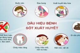 Ngày ASEAN phòng chống sốt xuất huyết 15/6