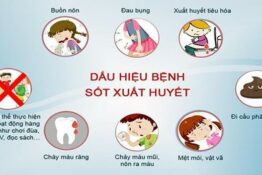 Ngày ASEAN phòng chống sốt xuất huyết 15/6