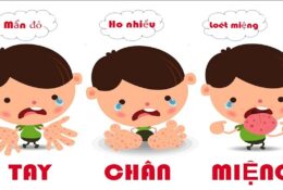 BỆNH TAY CHÂN MIỆNG
