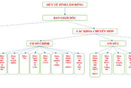 Sơ đồ tổ chức