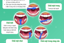 Tài liệu truyền thông hướng dẫn chăm sóc sức khỏe răng miệng cho cộng đồng